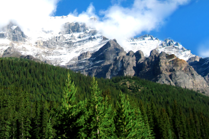 米杉建築イメージ