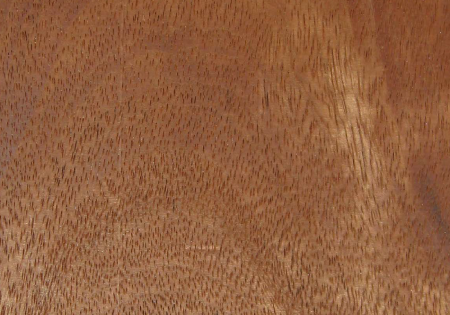 ケンパスイメージ