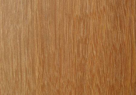 セランカンバツイメージ