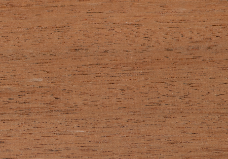 セランカンバツイメージ