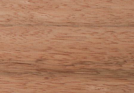 セランカンバツイメージ