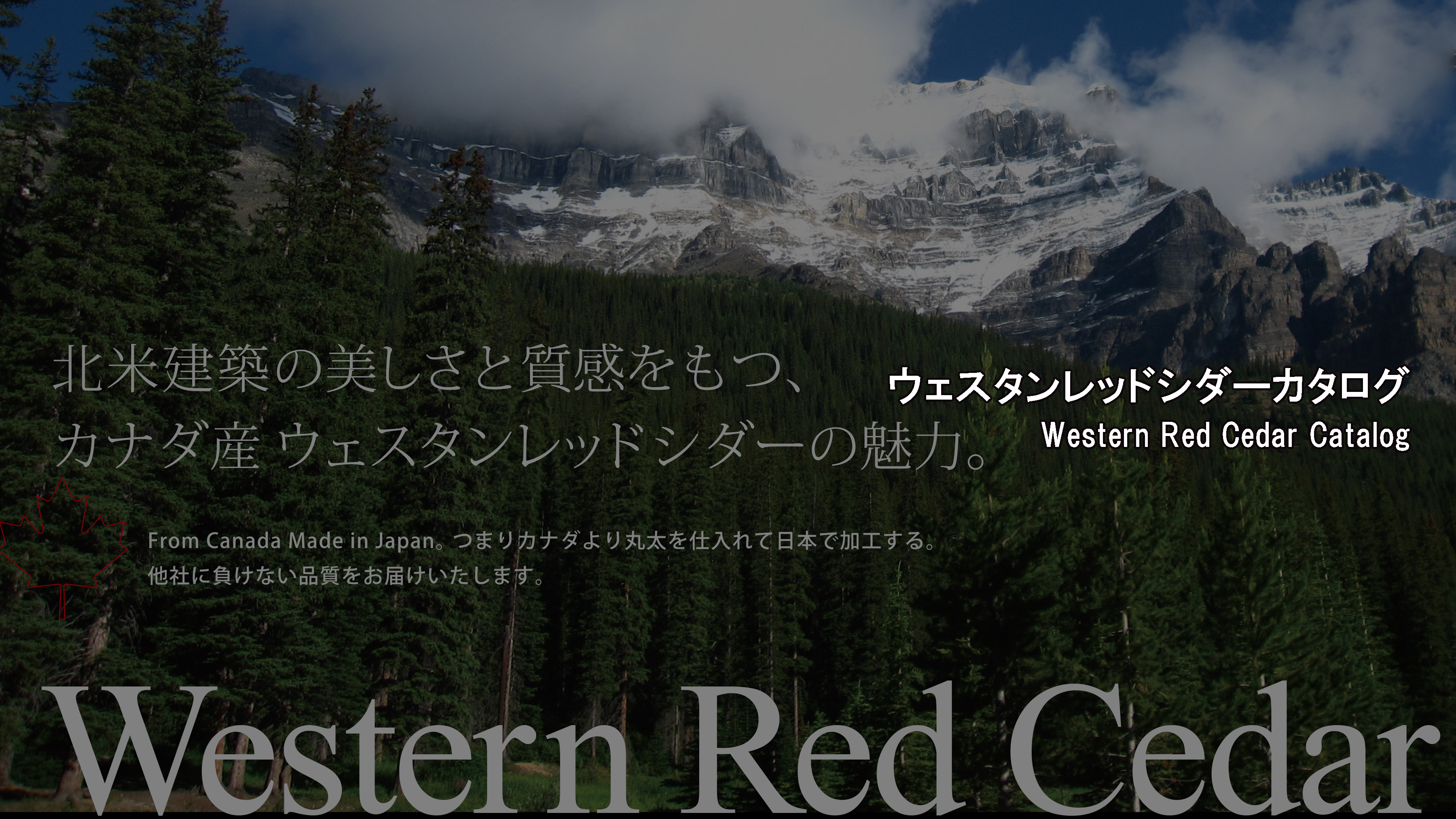 ウェスタンレッドシダーダウンロード